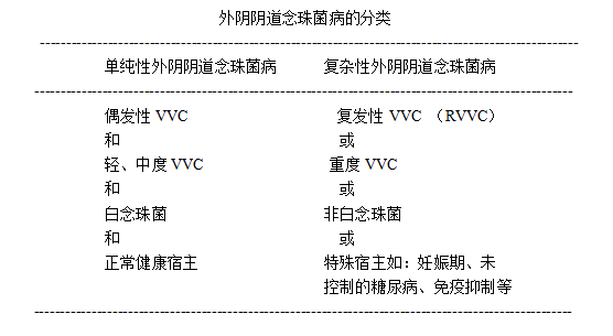 阴道菌1.png