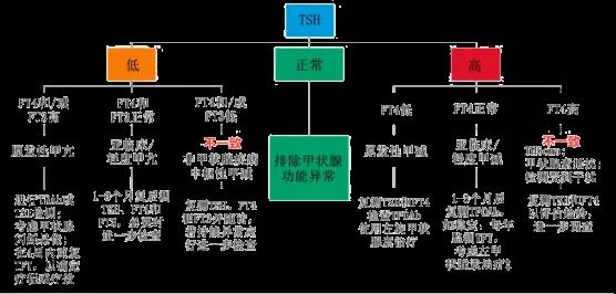 ​TSH、T3、T4……这么多甲状腺指标怎么选？