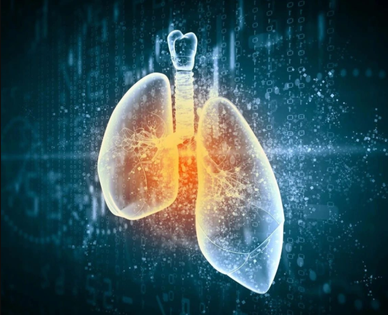 bioRxiv：科学家识别出一种有望治疗肺癌的新型潜在靶点