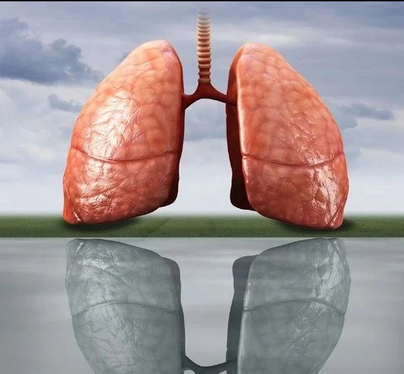 肺癌凶险，这五大肿瘤标志物缘何一个都不能少？