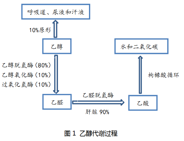 头孢菌素类抗生素不良反应——双硫仑样反应，你了解多少