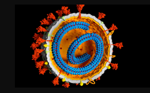 新冠病毒可“植入”人体基因组？PNAS最新学术研究引争议