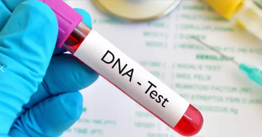 从基因到公共卫生:我们准备好进行DNA人口筛查了吗？