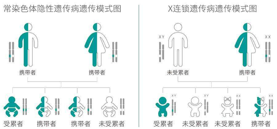 为什么要做单基因病携带者筛查？