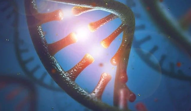  里程碑！体内CRISPR基因编辑首个临床试验结果公布
