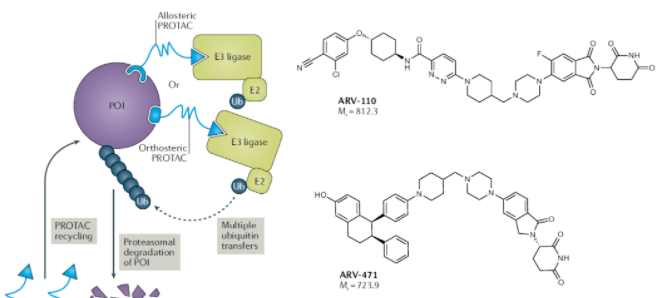  Nature重磅：一文揭示1336个PROTAC靶点
