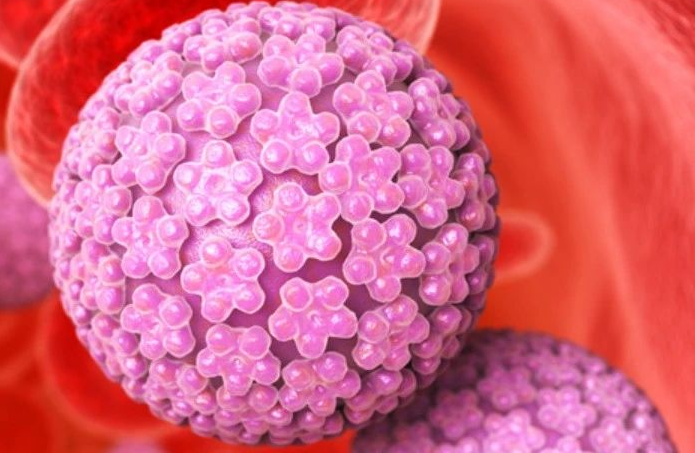  感染HPV病毒就会恶变成宫颈癌吗？真相来了！