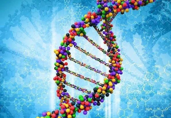 最新发现“垃圾DNA”序列在衰老、癌症中的潜在作用