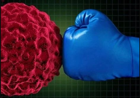  缩小肿瘤80%以上，AKT靶向蛋白降解疗法有望治疗多种癌症