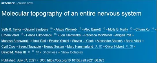  Cell：首次构建出整个神经系统的完整基因表达图谱