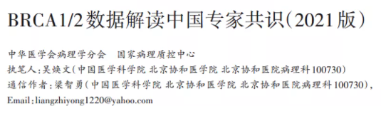 最新版BRCA数据解读中国专家共识出炉，与前版更新对比