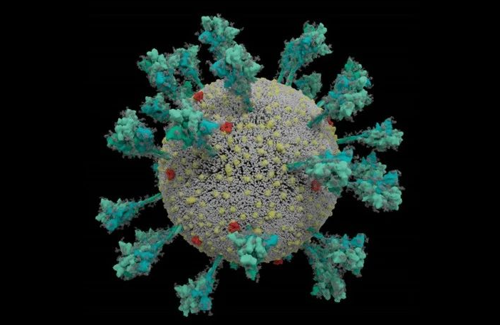 《科学》发表mRNA疫苗最新结果