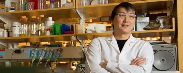  MIT大牛卢冠达发现新DNA编辑系统，让细菌基因组书写更高效