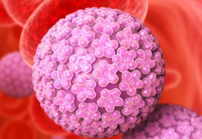 80% 的人都会感染 HPV！疫苗到底该怎么打？