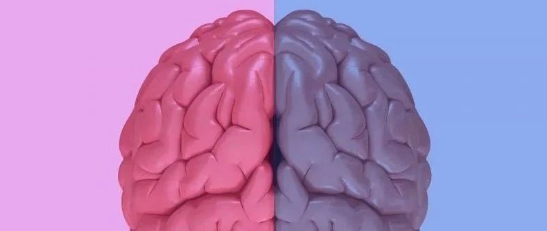 男女大脑到底存在多大差异？最大规模研究得出了结论！