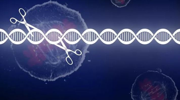  Nature：发现精确切割RNA的CRISPR系统