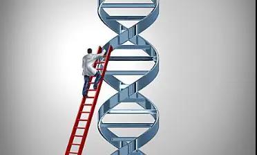 50万人基因组数据显示：遗传病随年龄增长减少