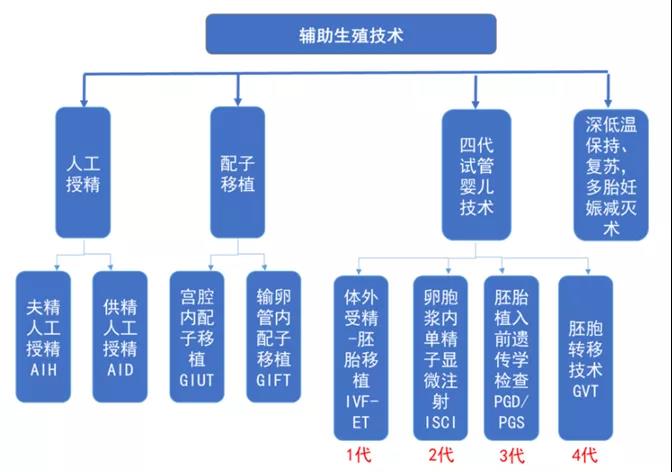 辅助生殖空间巨大，不孕不育辅助诊疗有望纳入医保