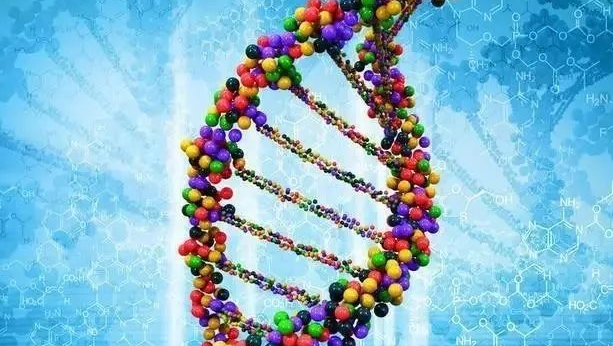 分子技术丨常见基因变异类型