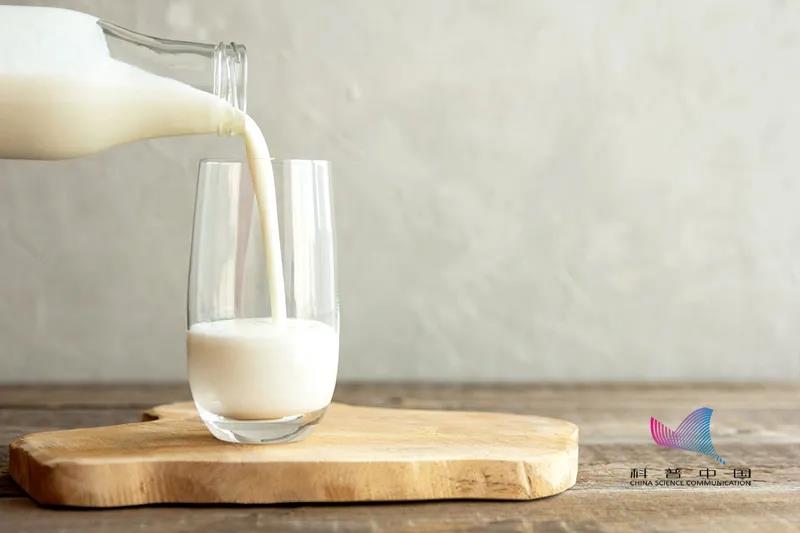 牛奶、羊奶、马奶，到底哪个营养价值更高？