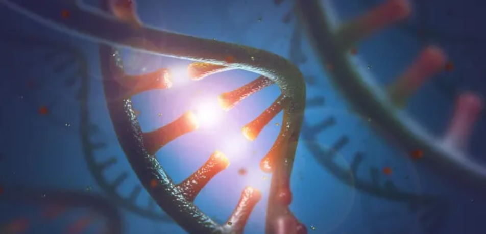 NEJM：8小时内测完人类基因组，纳米孔技术创造新纪录！