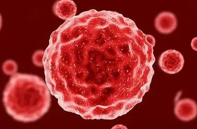  Nat Commun：GRP78 CAR-T细胞治疗急性髓细胞性白血病