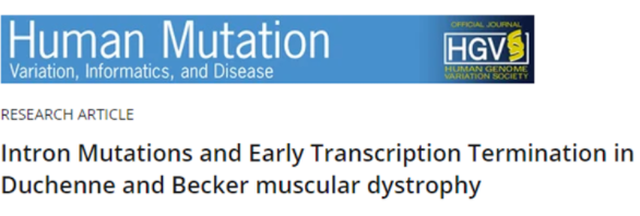 Duchenne 和 Becker 肌营养不良症的内含子突变和转录提前终止