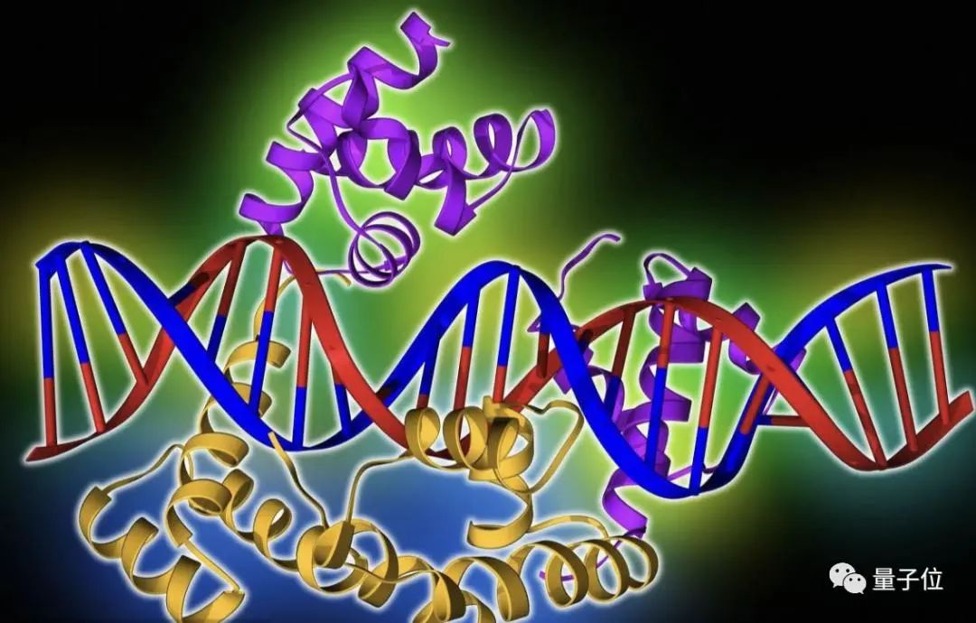 Nature子刊：用机器学习揭露人类基因调控背后的“语法”