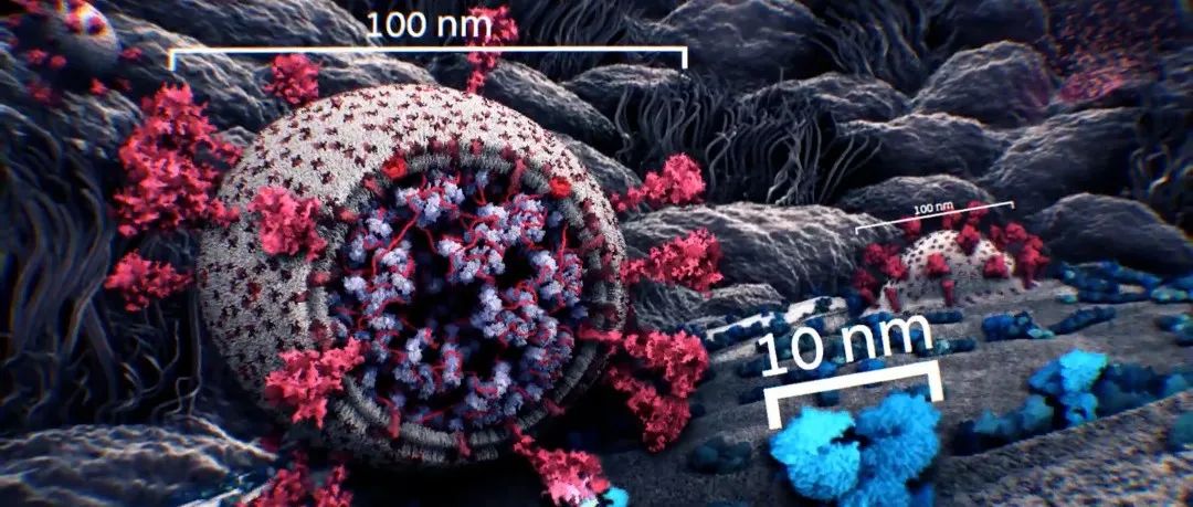  新冠病毒能在常温下存活多久？