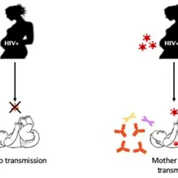 抗体依赖性细胞毒性可能有助于防止母乳喂养期间的HIV母婴传播
