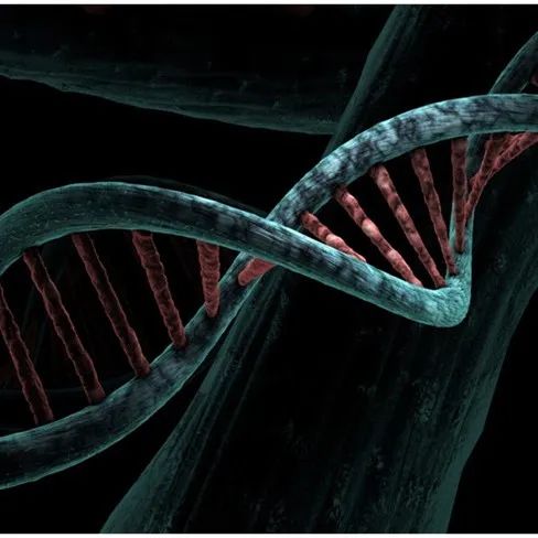  肿瘤细胞激活DNA断裂，从而在基因毒性治疗中存活下来