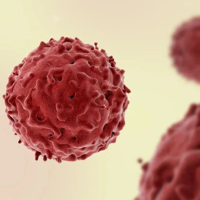  最新研究|同时靶向CDC7和CDK1有望更有效治疗癌症
