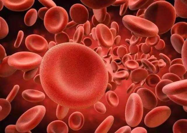 国内首个β-地贫创新药物即将上市 降低输血负担有望实现