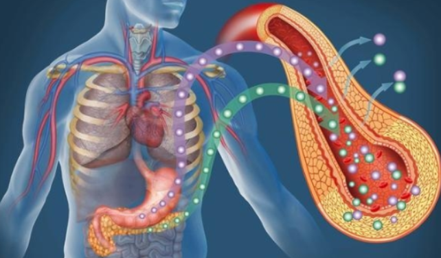 科学家发现—控制胰腺癌扩散的关键机制
