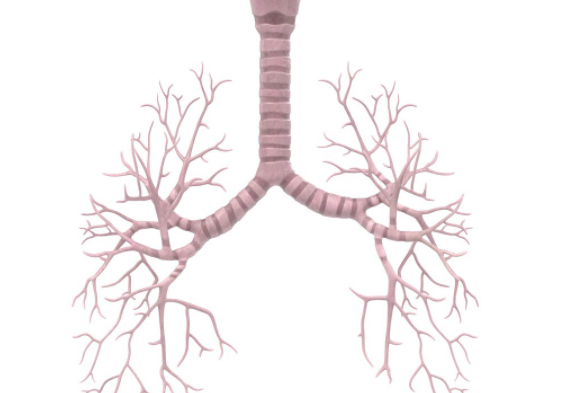 权威解读：支气管发炎是什么症状？