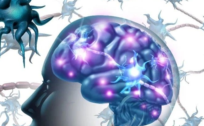 科学家揭示：大脑中产生新生神经元的特殊分子机制