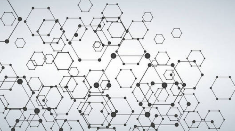 新发现 | 分子细胞卓越中心发现核仁新结构调控核糖体RNA末端加工机制