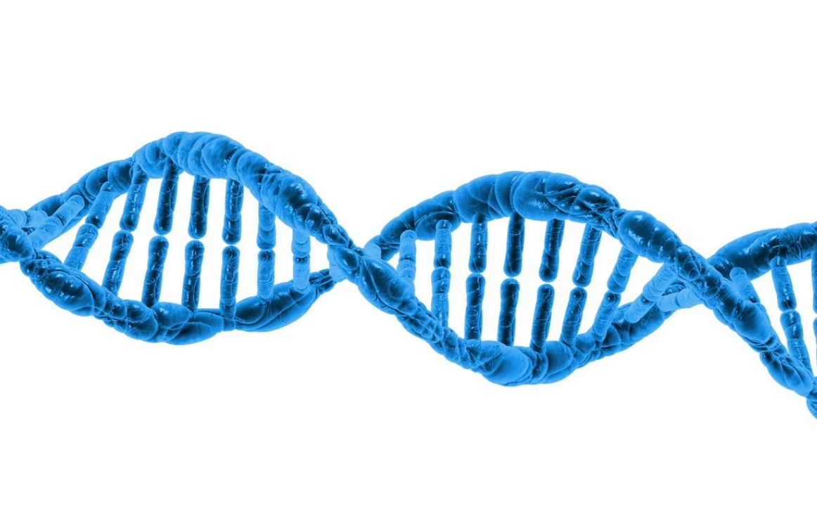 全基因组重测序及其在群体基因组学的研究方法