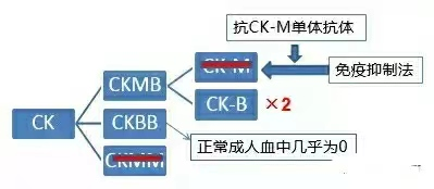 CK-MB＞CK，LDH和α-HBDH异常升高，什么原因？