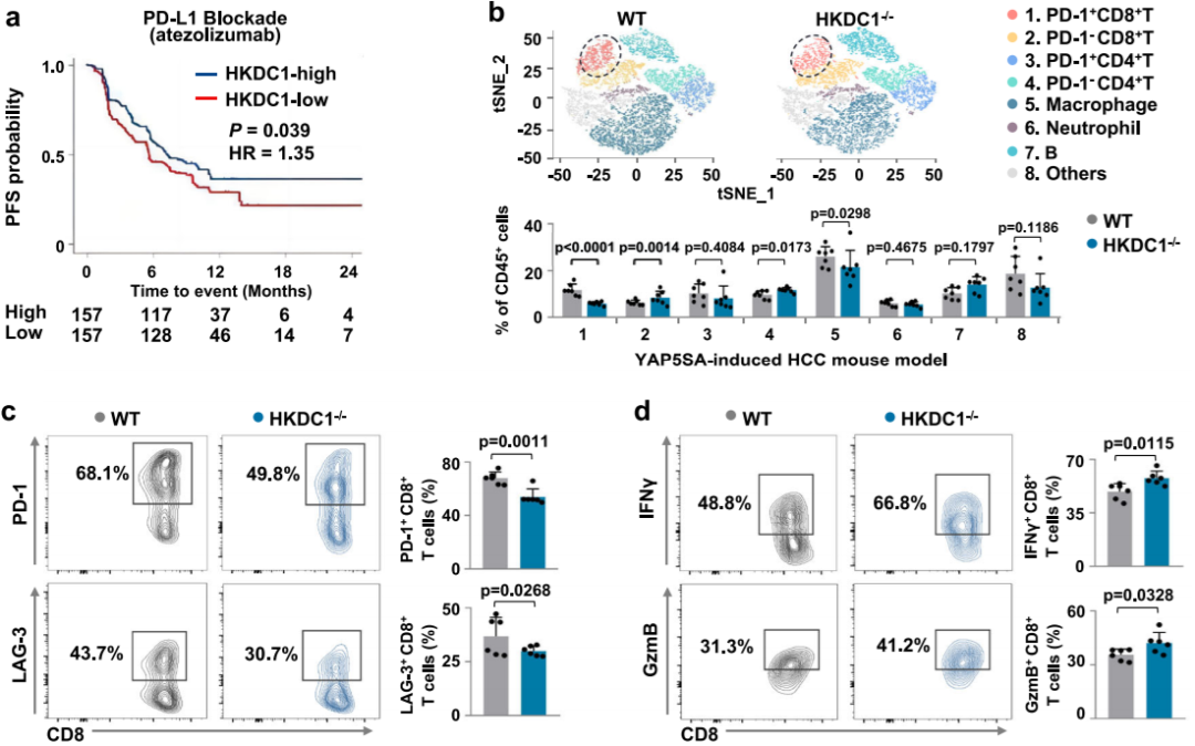 发现HKDC1促进肝细胞癌的肿瘤免疫逃逸
