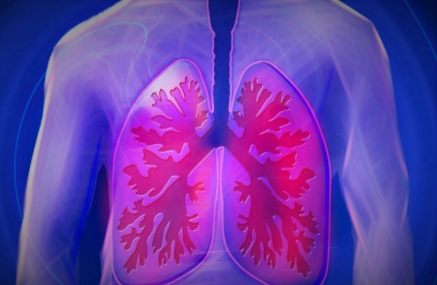 如何保养肺？呼吸科医生的经验总结，都藏在生活里