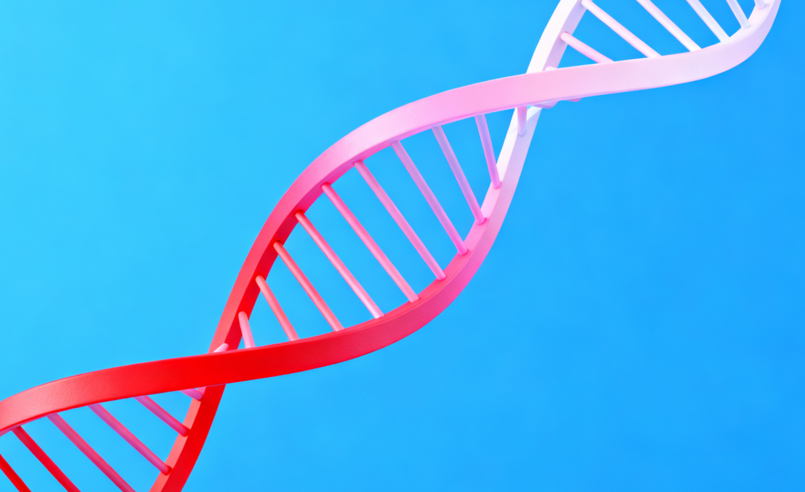 基因的起点和终点并非孤立运作，起点决定终点