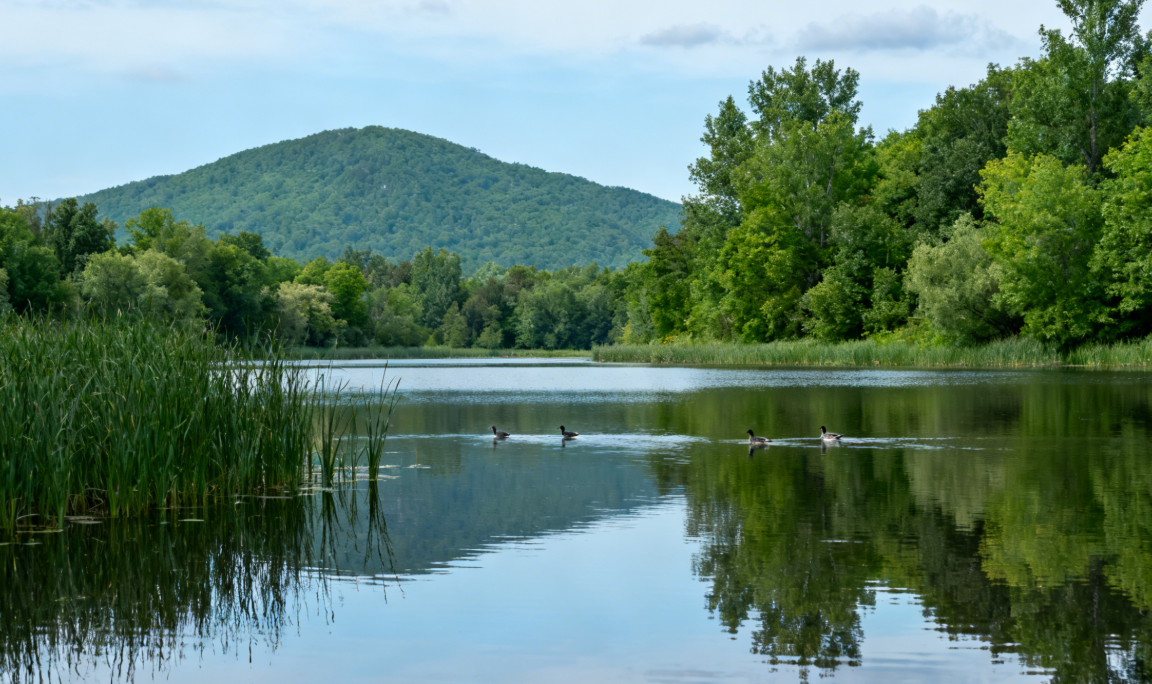 结节与癌症的距离有多远？