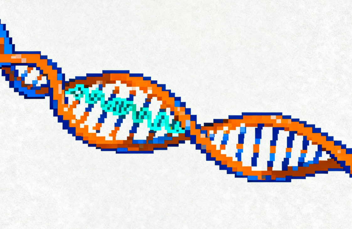 科学家开发靶向前列腺衰老的基因疗法