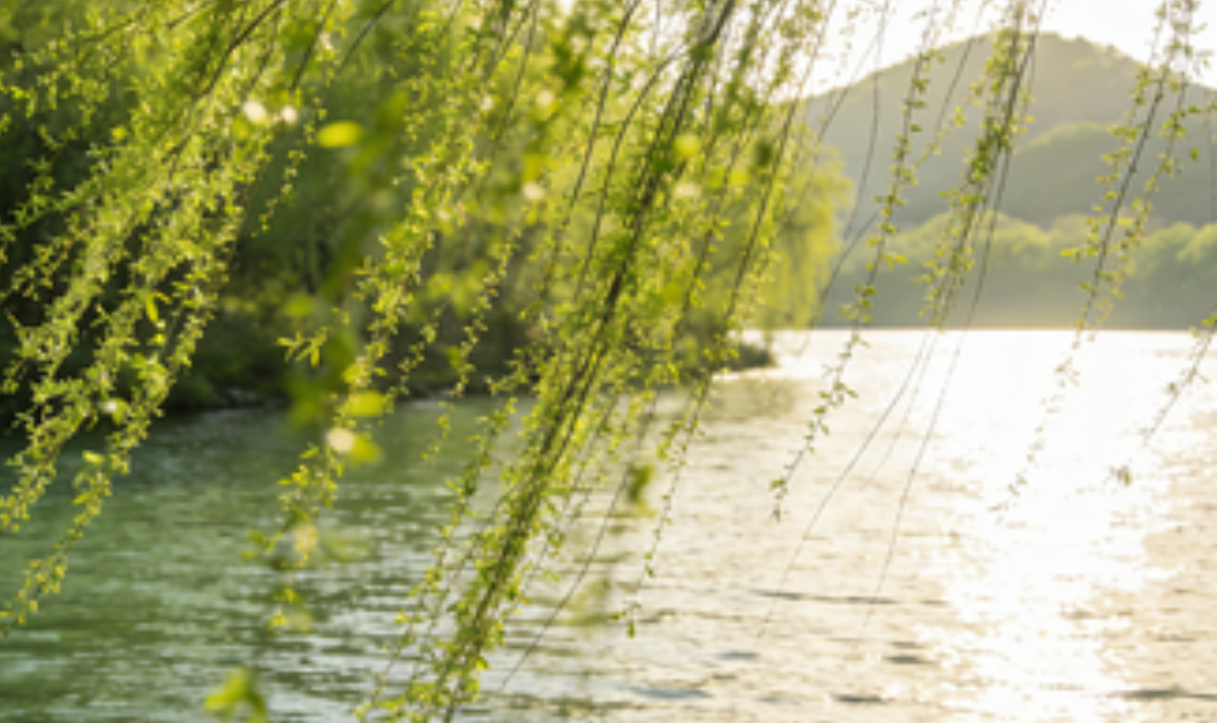 春色虽美人烦恼，科学防敏有妙招